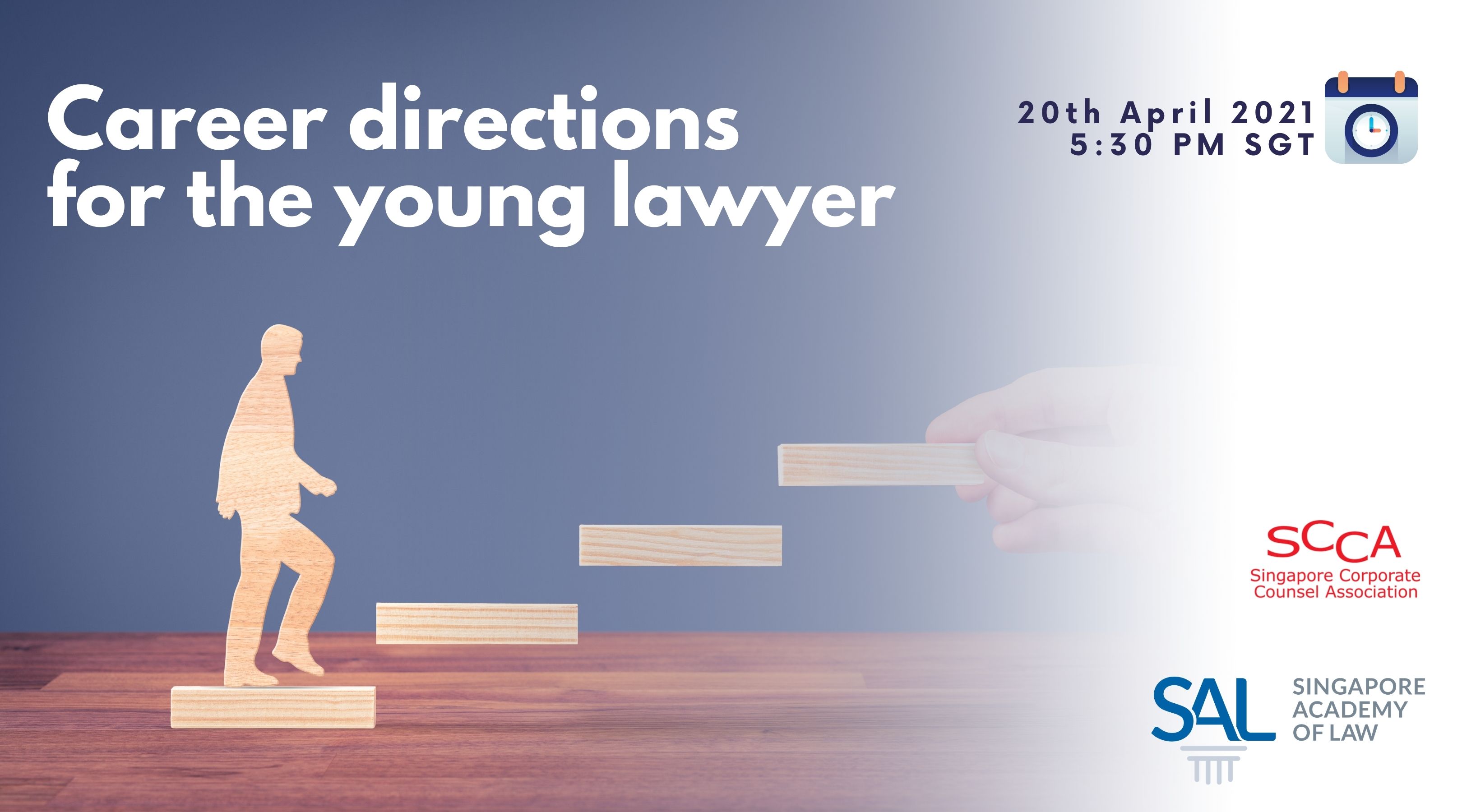 Career directions for the young lawyer